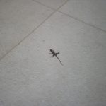 impermeabilização de piso no RJ