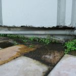 Infiltração na laje