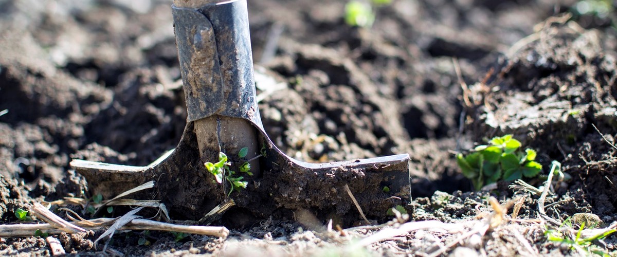 reformas no condomínio quando fazer outono melhor época jardinagem