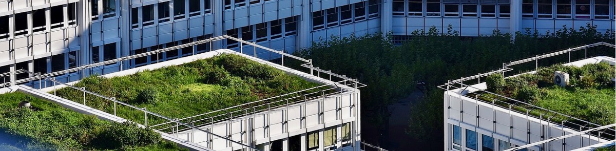 impermeabilização para telhado verde