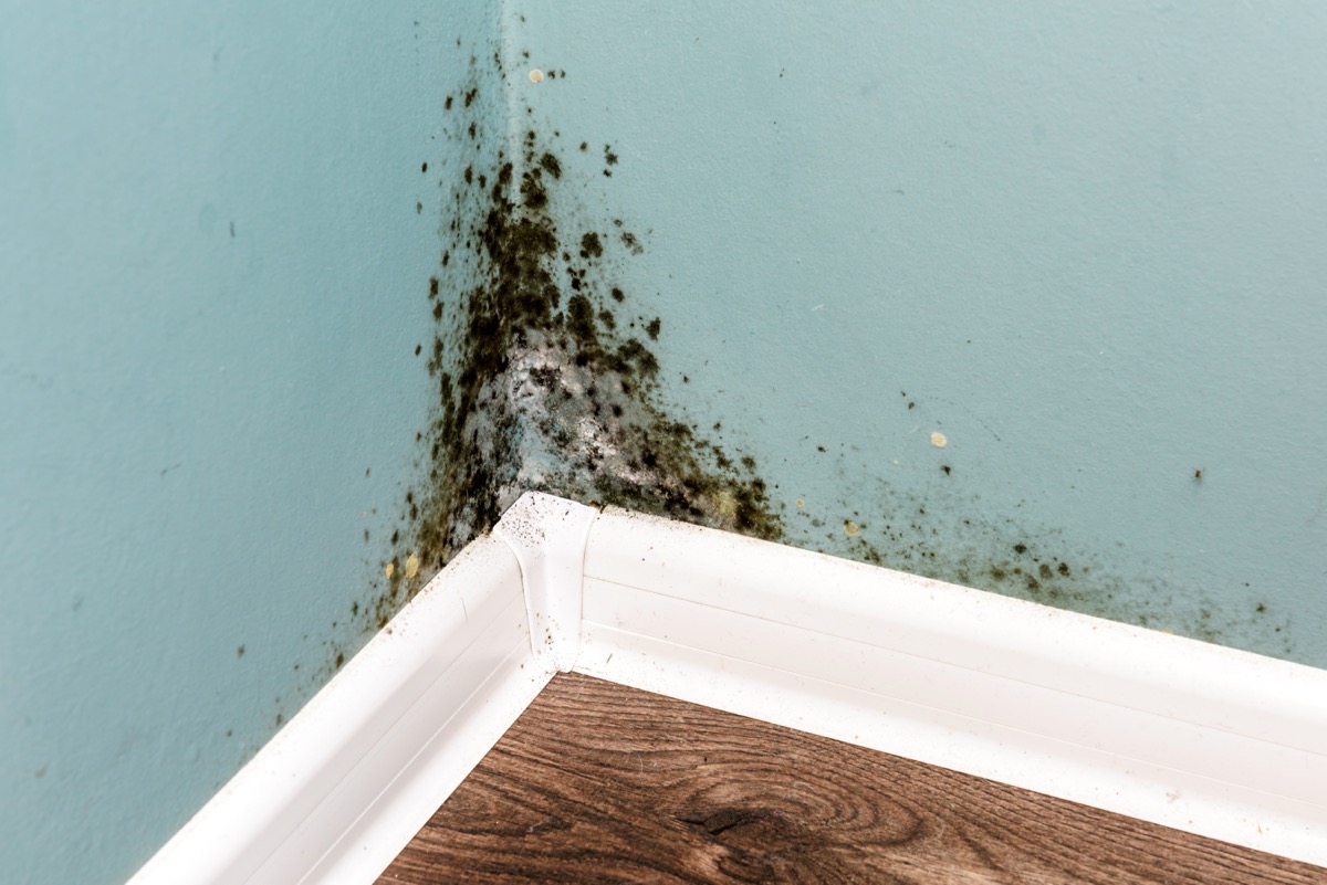 parede com infiltração como decorar rodapé