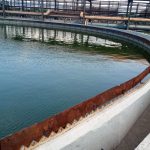 Impermeabilização de tanque clarificador com poliéster flexível Sistema Fibersals