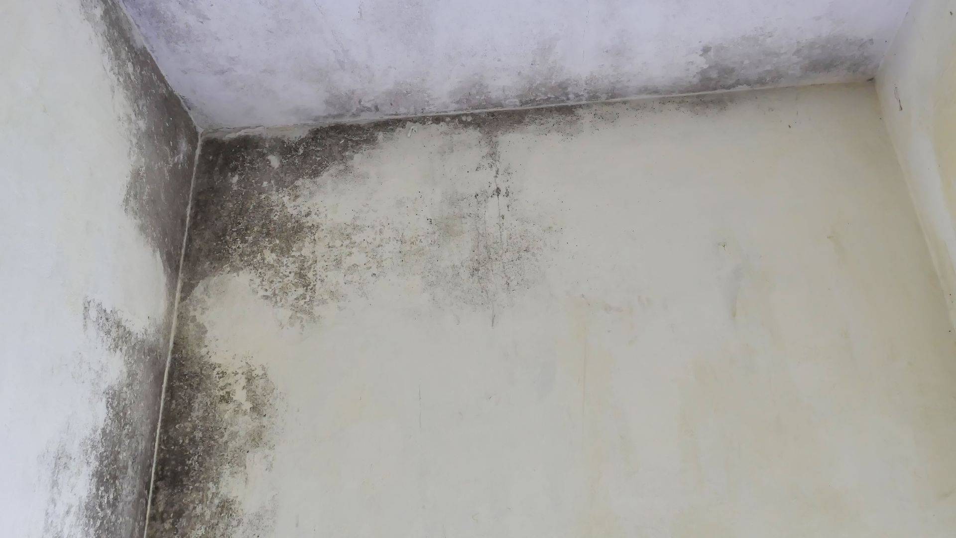 Principais lugares onde a infiltração pode aparecer na sua casa