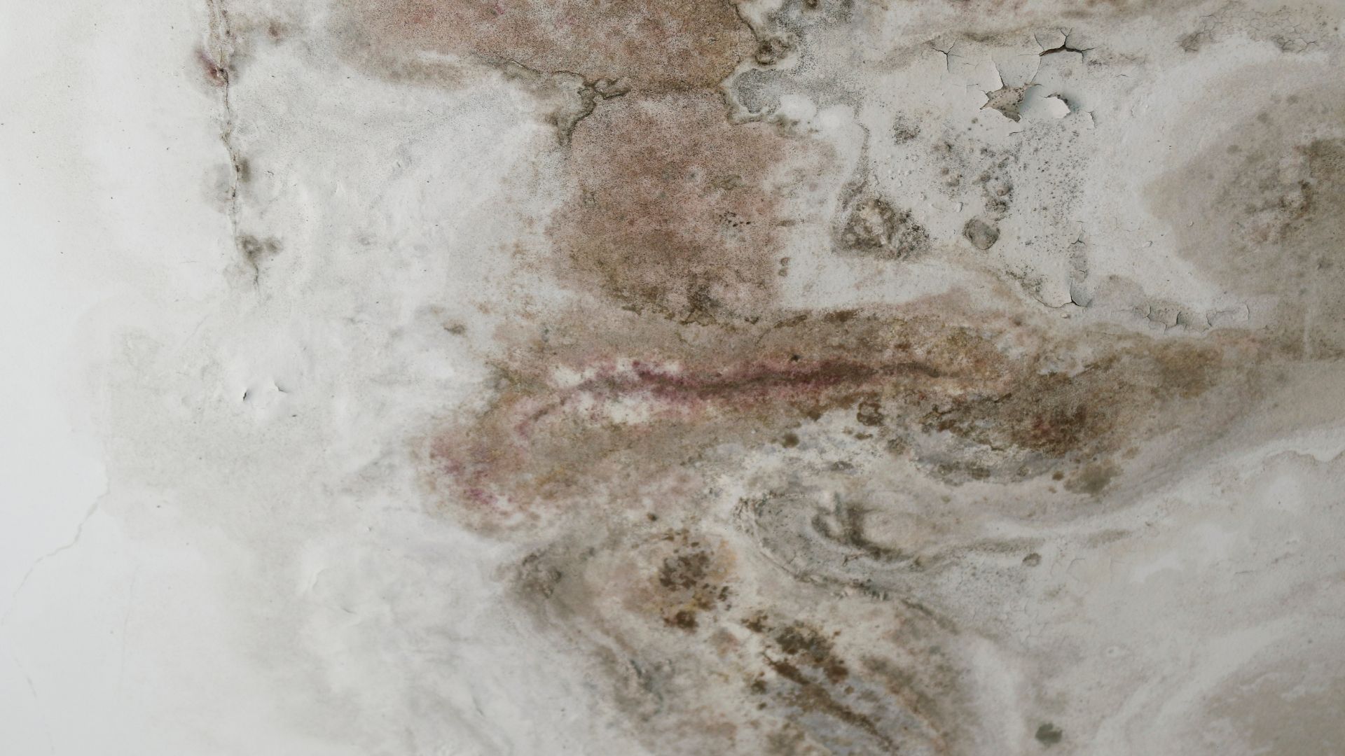 todo mundo precisa saber sobre impermeabilização