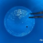 impermeabilização de reservatório com poliéster flexível sistema fibersals