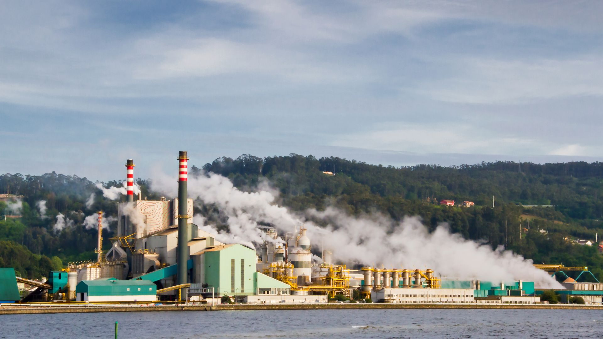 indústria de papel celulose e sustentabilidade