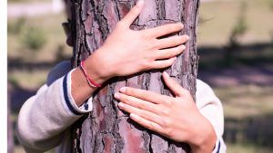 Bem-estar é sensação transmitida pela natureza por perto 