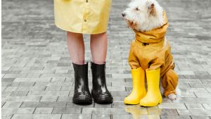 A impermeabilização é essencial para qualquer edificação que deseja proteger seus ativos e evitar prejuízos estruturais