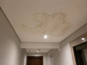 O condomínio responde pelos danos quando o vazamento ou infiltração tem origem no tento de uma área comum, por exemplo